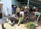 MTsN 1 Kota Gorontalo Laksanakan Penyembelihan Hewan Qurban, Wujud Kepedulian dan Kebersamaan