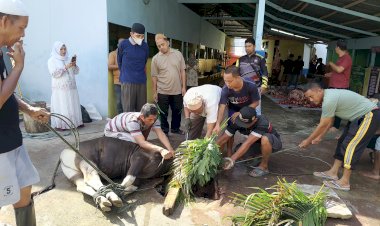 MTsN 1 Kota Gorontalo Laksanakan Penyembelihan Hewan Qurban, Wujud Kepedulian dan Kebersamaan