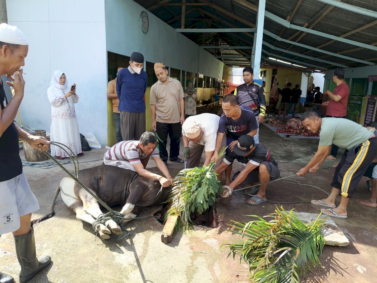 MTsN 1 Kota Gorontalo Laksanakan Penyembelihan Hewan Qurban, Wujud Kepedulian dan Kebersamaan